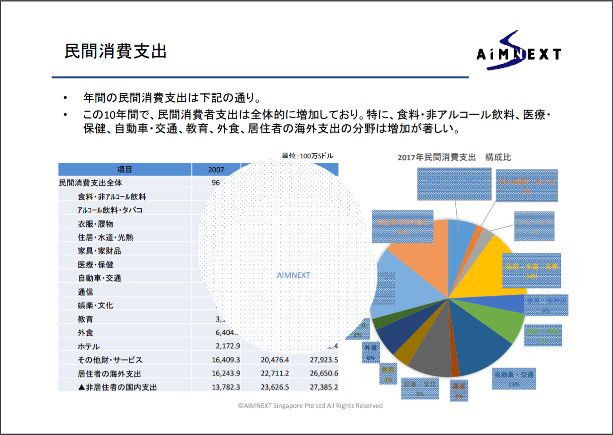 シンガポール市場調査レポート